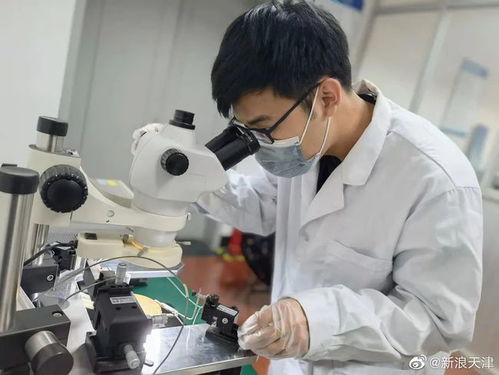 天津大學(xué)本科生研發(fā)6G新材料