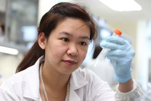 醣重組均相化抗體平臺技術及其創(chuàng)新產(chǎn)品cho-h01 醣重組均相化抗體新藥