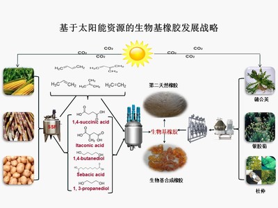 &ldquo;十三五&rdquo;國家重點研發(fā)計劃項目&ldquo;新型生物基橡膠材料制備技術與應用示范&rdquo;順利通過項目綜合績效評價