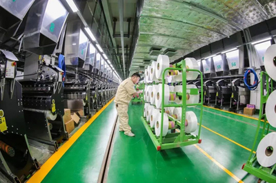 陳新偉:著力構建高端化、智能化、綠色化現代產業體系,全面建設化纖強國