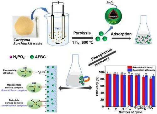 前沿科技 中科院科學家在生態環境治理新型材料研發方面取得系列進展