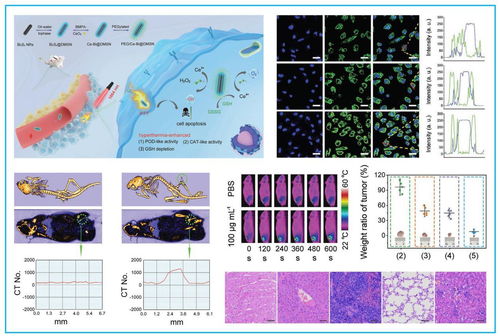 學(xué)校獲多項(xiàng)黑龍江省科學(xué)技術(shù)獎(jiǎng)