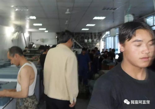 阿富汗各種原料充足,只是缺乏生產技術和工藝與阿富汗工人的工資與福利