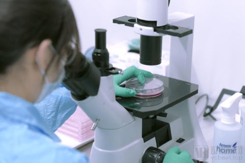 打造產業鏈 惠邦生物以獨創能力加碼IVD創新產品研發，持續發力原料市場與生物基材料技術研發