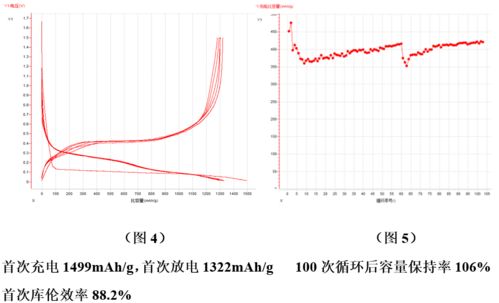 技術前沿│全球硅基負極材料專利數量已逾萬件，探尋生物硅負極材料的秘密