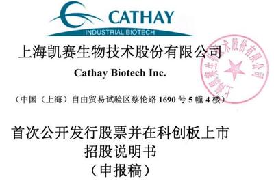 凱賽生物IPO隱憂(yōu) 安全生產(chǎn)風(fēng)險(xiǎn)與違規(guī)行為頻發(fā)